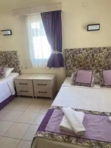 Canna Garden - Adults Only - 75