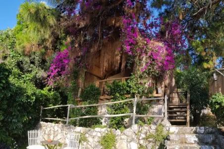 Perdue Adults Only - 53