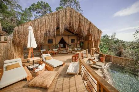 Perdue Adults Only - 56