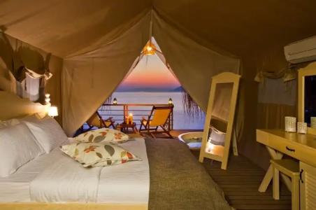 Perdue Adults Only - 63