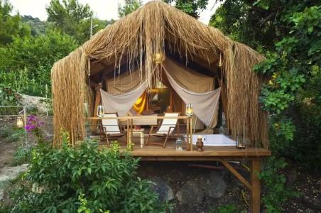 Perdue Adults Only - 67