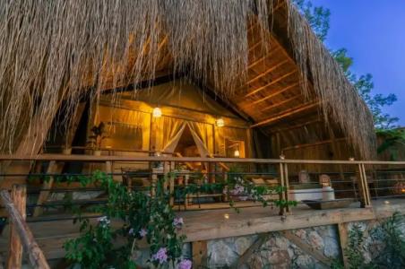 Perdue Adults Only - 62