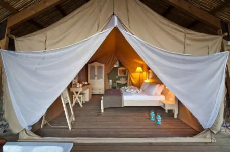 Perdue Adults Only - 64