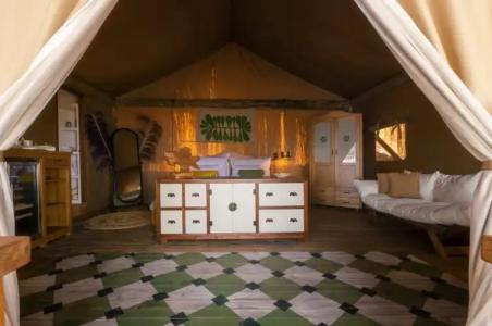 Perdue Adults Only - 60