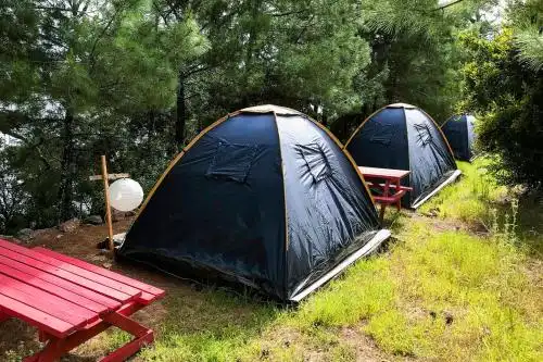 Gemile Camping - 49