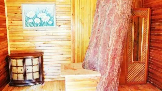 Olympos Yigit Pansiyon - 66