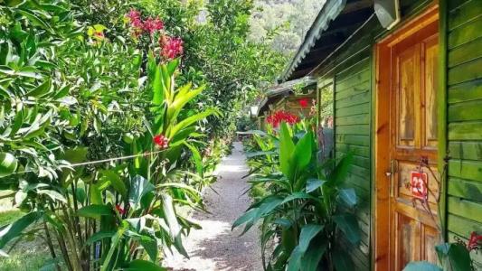 Yakamoz Pansiyon - 11