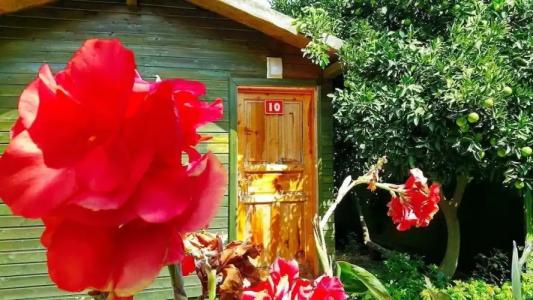 Yakamoz Pansiyon - 10