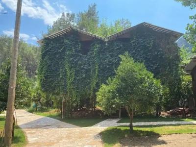 Camlik Pansiyon - Adults Only (16+) - 57