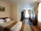 Standard Double room with mountain view