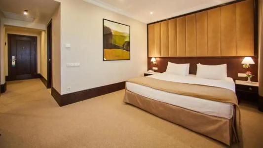 Rixos-Prykarpattya Resort - 16