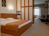 1 room Family Double room with balcony and with sea view