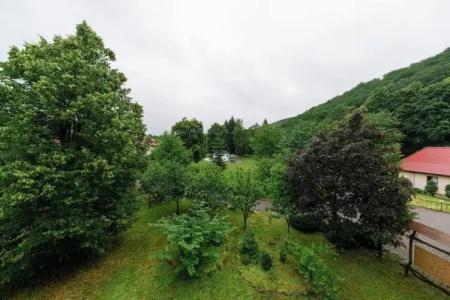 Bogolvar Retreat Resort - 97