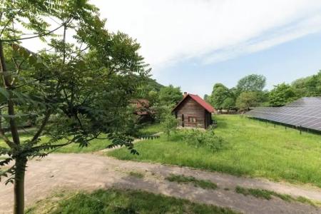 Bogolvar Retreat Resort - 99