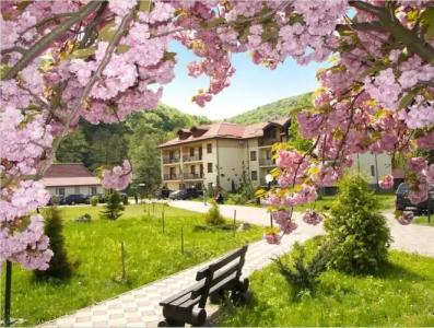 Bogolvar Retreat Resort - 25