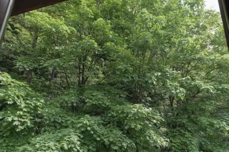 Bogolvar Retreat Resort - 55