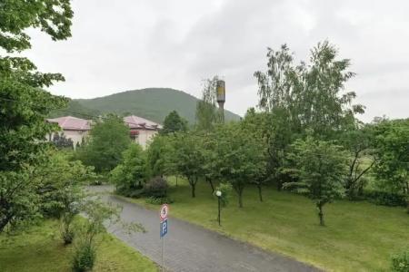 Bogolvar Retreat Resort - 81