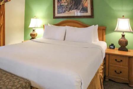 Hilton Vacation Club Polynesian Isles Kissimmee - 35