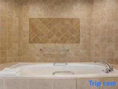 Hilton Vacation Club Polynesian Isles Kissimmee - 88