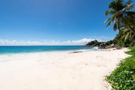 Carana Hilltop Villa - 16