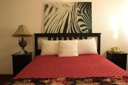 Tradewinds All Suites - 7