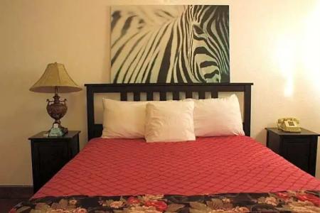 Tradewinds All Suites - 43