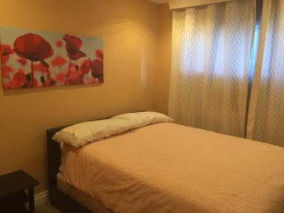 Tradewinds All Suites - 4