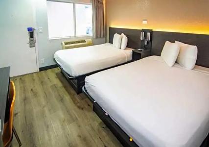 Motel 6 Kissimmee, FL - Orlando - 51