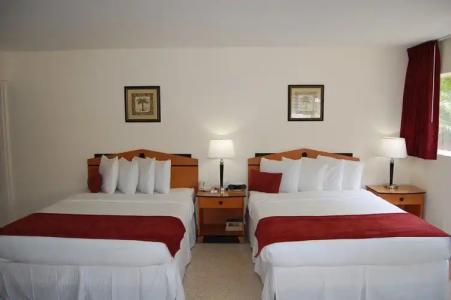 Elysium Resort - Gay Men's Resort - 4