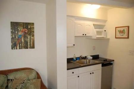 Elysium Resort - Gay Men's Resort - 10