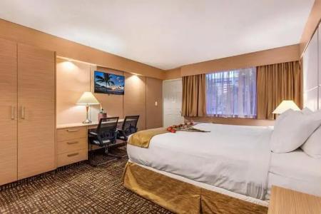 Ocean Beach Palace - 40