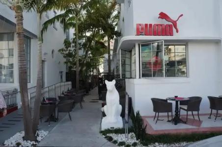 Posh South Beach - 28