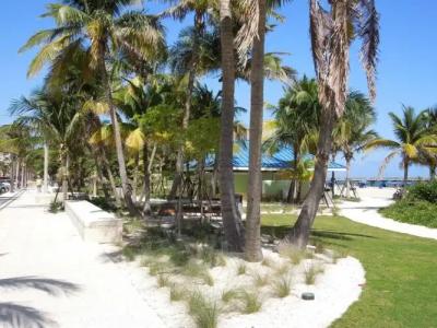 Cottages by the Ocean - 9