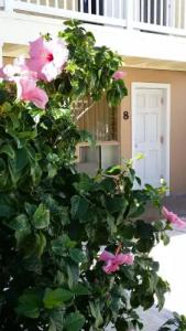 The Palms On Ocean - 0