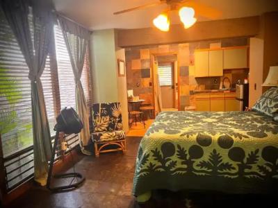 Maui What a Wonderful World Bed & Breakfast - 35