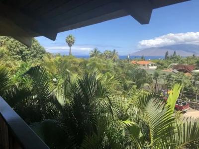 Maui What a Wonderful World Bed & Breakfast - 12