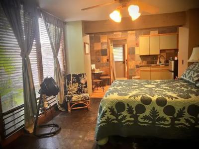 Maui What a Wonderful World Bed & Breakfast - 47