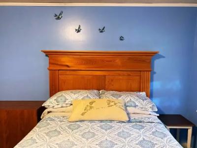 Blue Moon Guest House - 52