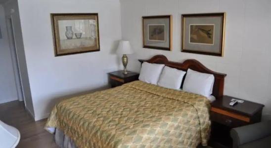 The Islander Motel - 5