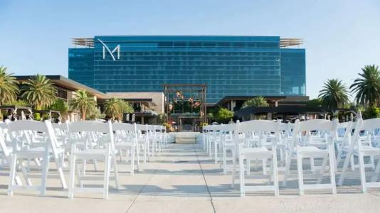 M Resort Spa & Casino - 18