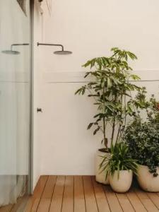 Pulitzer Barcelona - 22