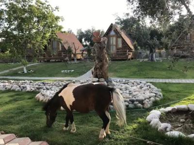 Ida Natura Life Style Otel Kazdaglari - 87