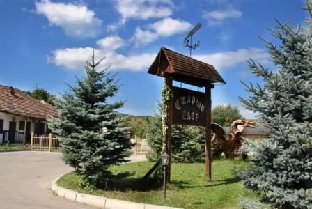Stariy Dvor - 10