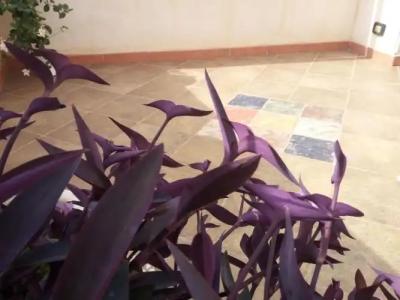 B&B Al Centro Storico - 28