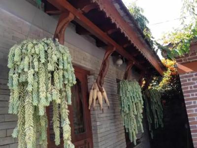 Vardan Resort n' Apartment - 157