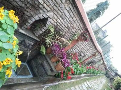 Vardan Resort n' Apartment - 66