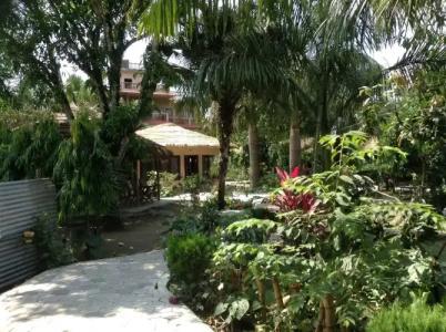 Eden Jungle Resort - 10