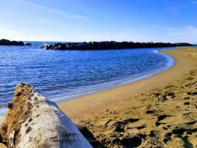 B&B Isola - 7
