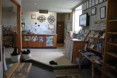 Alpine Backpackers - Hostel - 31