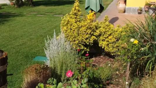 L'Antico Vigneto - 4